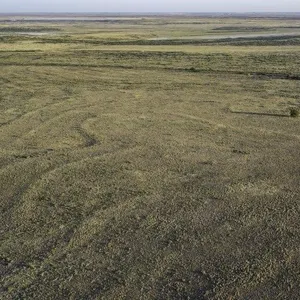 Tract 6 177+/- acre grass tract in Bailey County