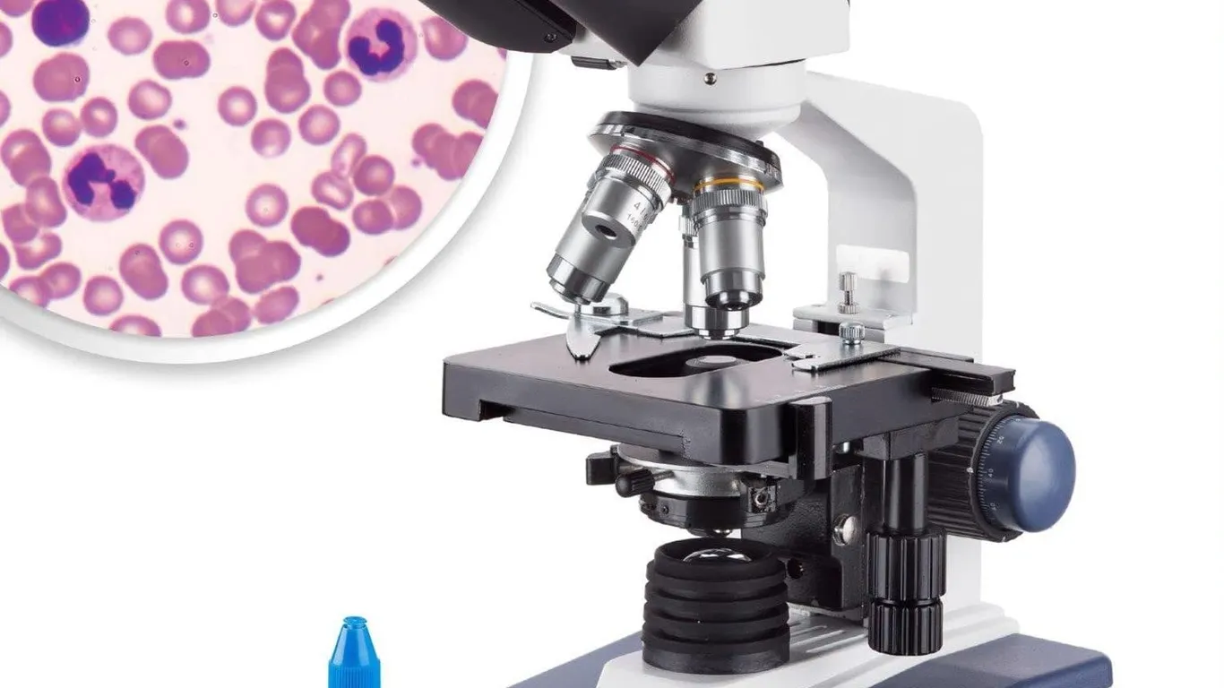 AmScope B120C Binocular Compound Microscope...