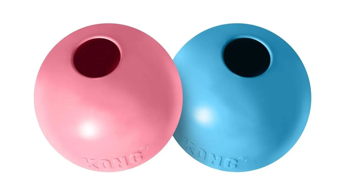 Kong Puppy Ball With Hole MediumLarge Pet Toy