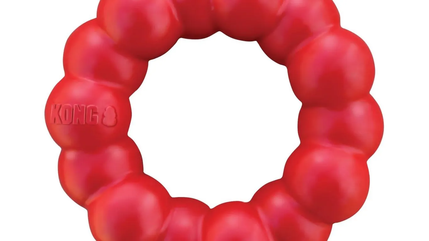 Kong Natural Rubber Ring Dog Toy Small