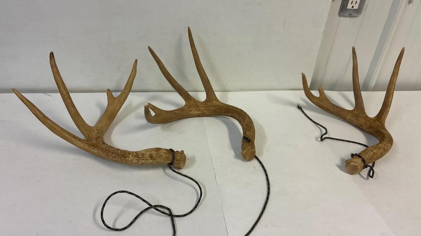 Horns to rattle them in. 1 set. 1 partial