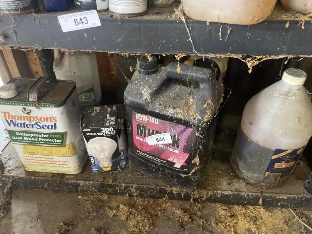 Contents of bottom shelf - oil, light bulb,