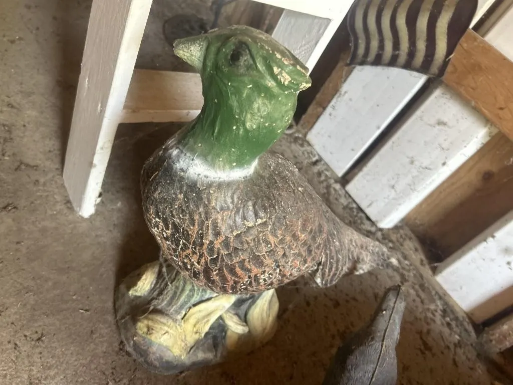 Concrete pheasant damaged