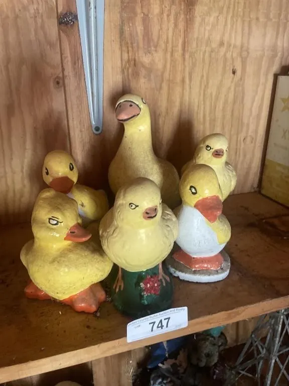 Concrete ducklings
