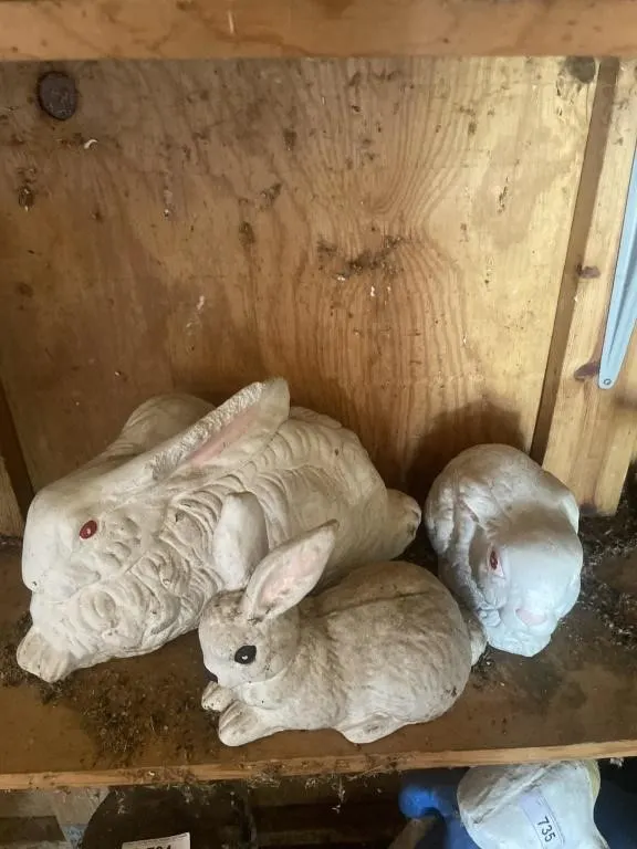Concrete Rabbits