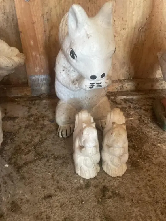 Concrete white squirrels