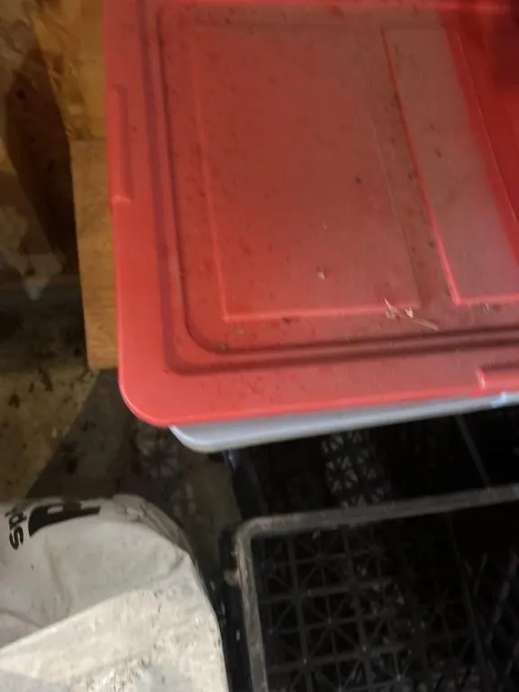 Totes