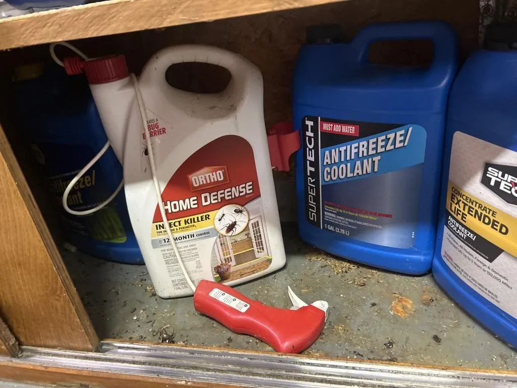 Antifreeze coolant I'm defense bug killerP