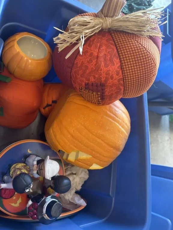 Fall/halloween/ thanksgiving decorations.