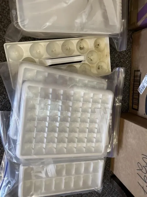 Ice trays and eggs tray. Ice tray holder