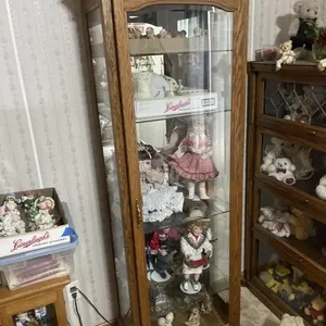 Curio Cabinet. Wood Frame With Glass Doors. Five