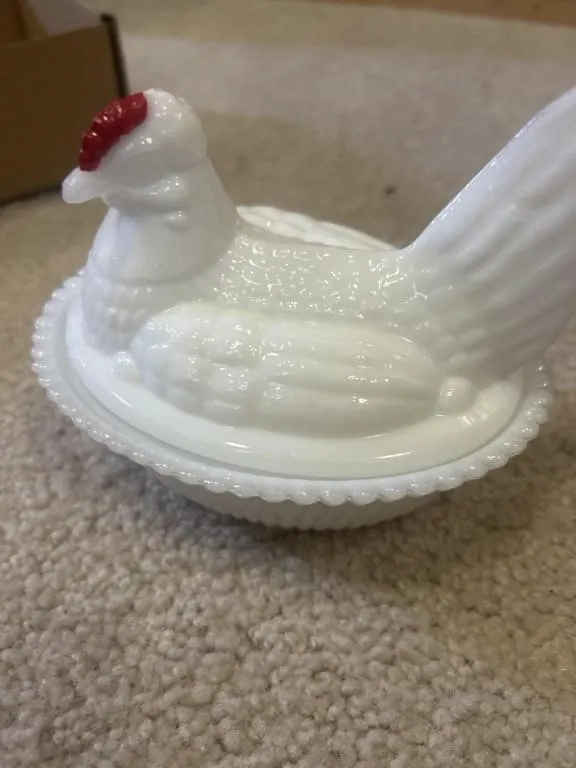 Hen on a nest