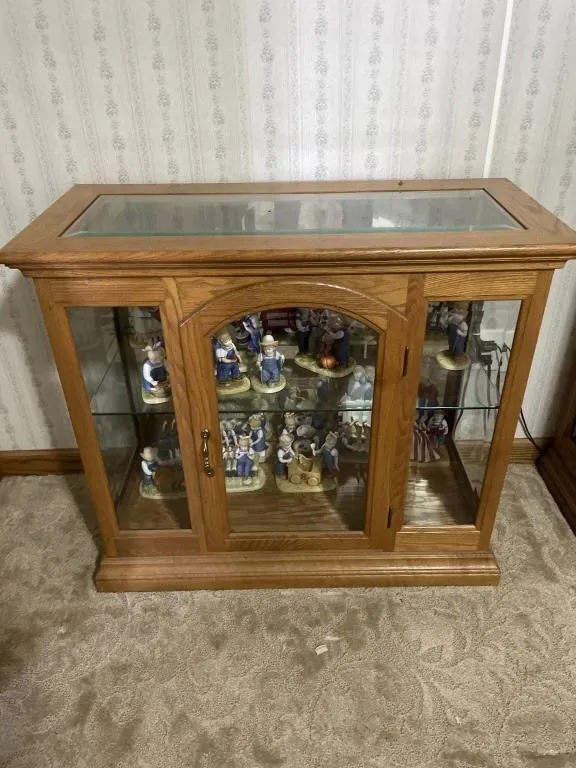 Wooden & glass lighted bookcase - contents not