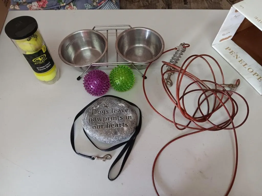Items For Dogs