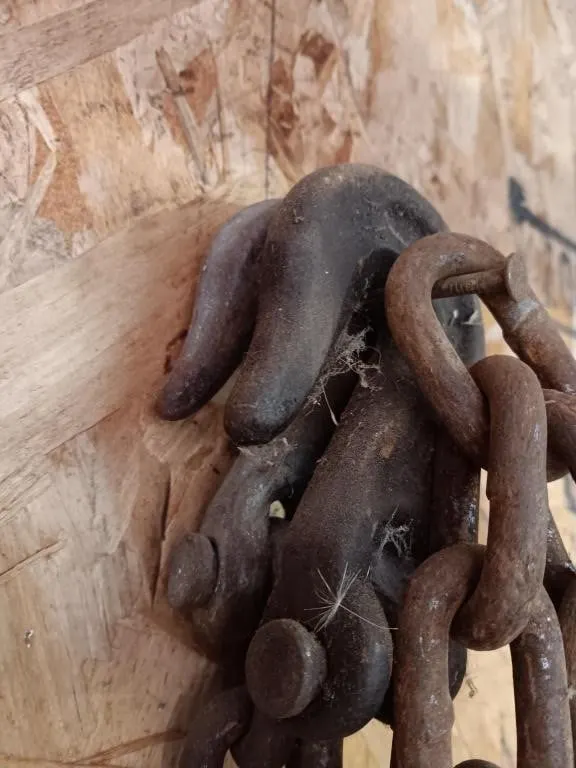 Log chain.
20ft in length.