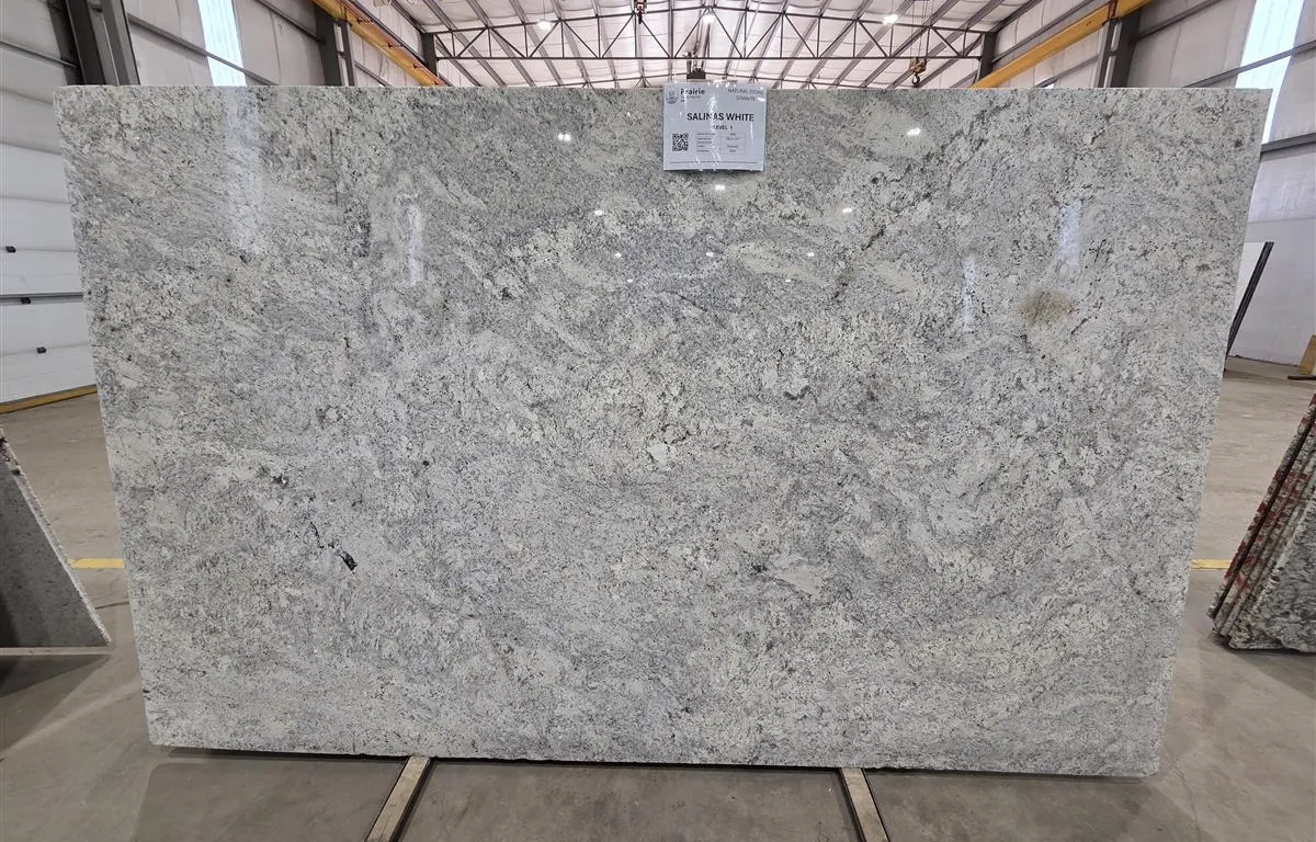 (1) Salinas White Polished Granite Slab
UNRESERVED