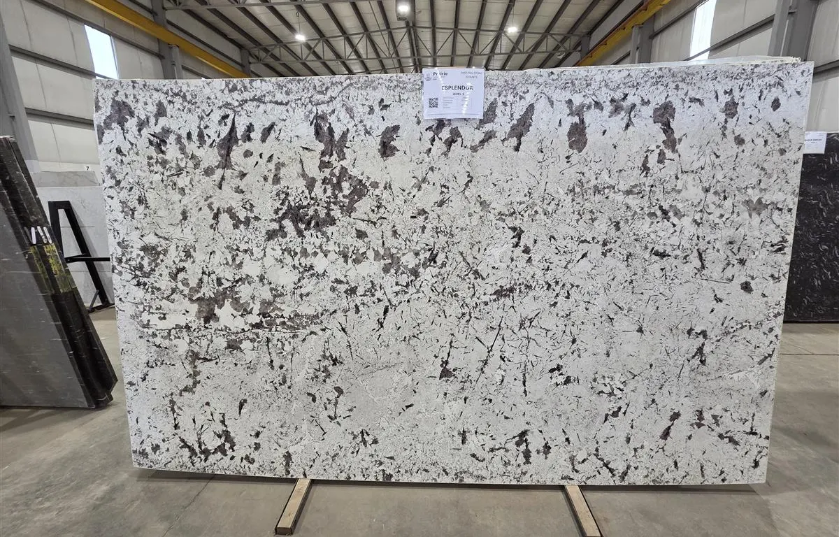 (1) Esplendor Natural Stone Granite Slab
UNRESERVED
