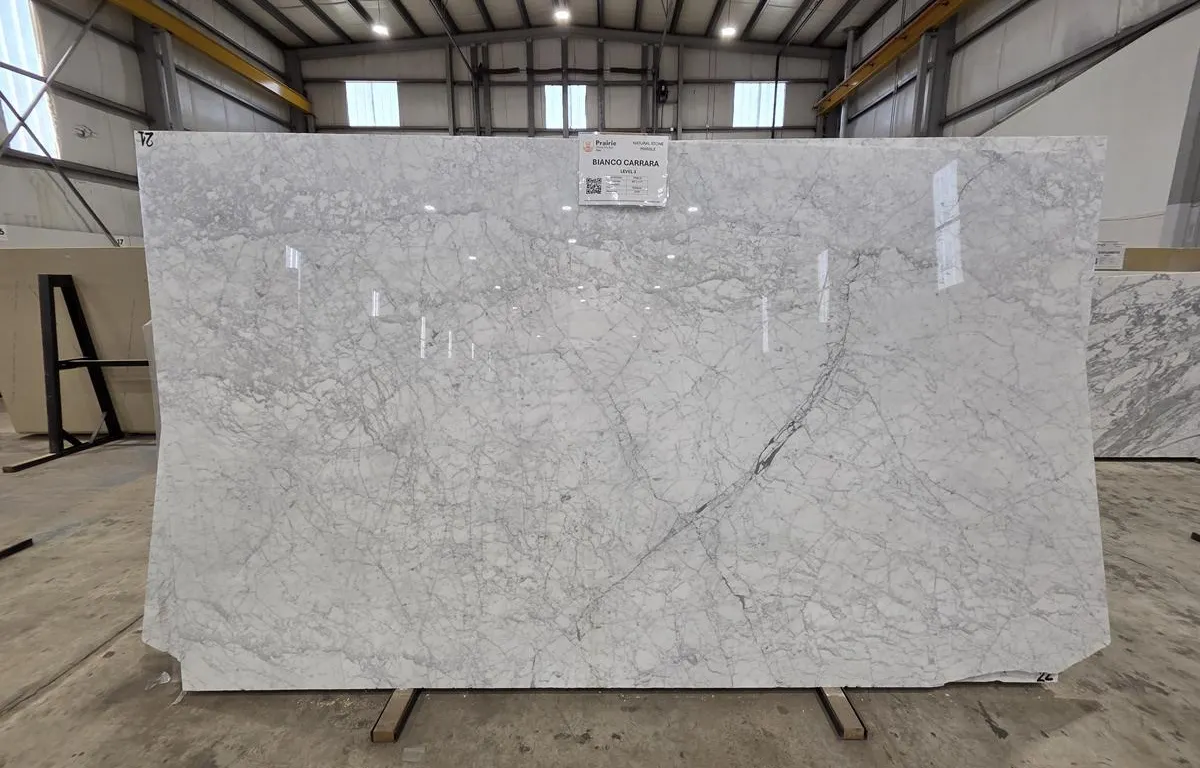 (1) Bianco Carrara Marble Slab
UNRESERVED