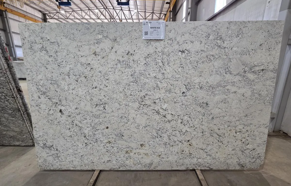 (1) White Ice Granite Slab
UNRESERVED