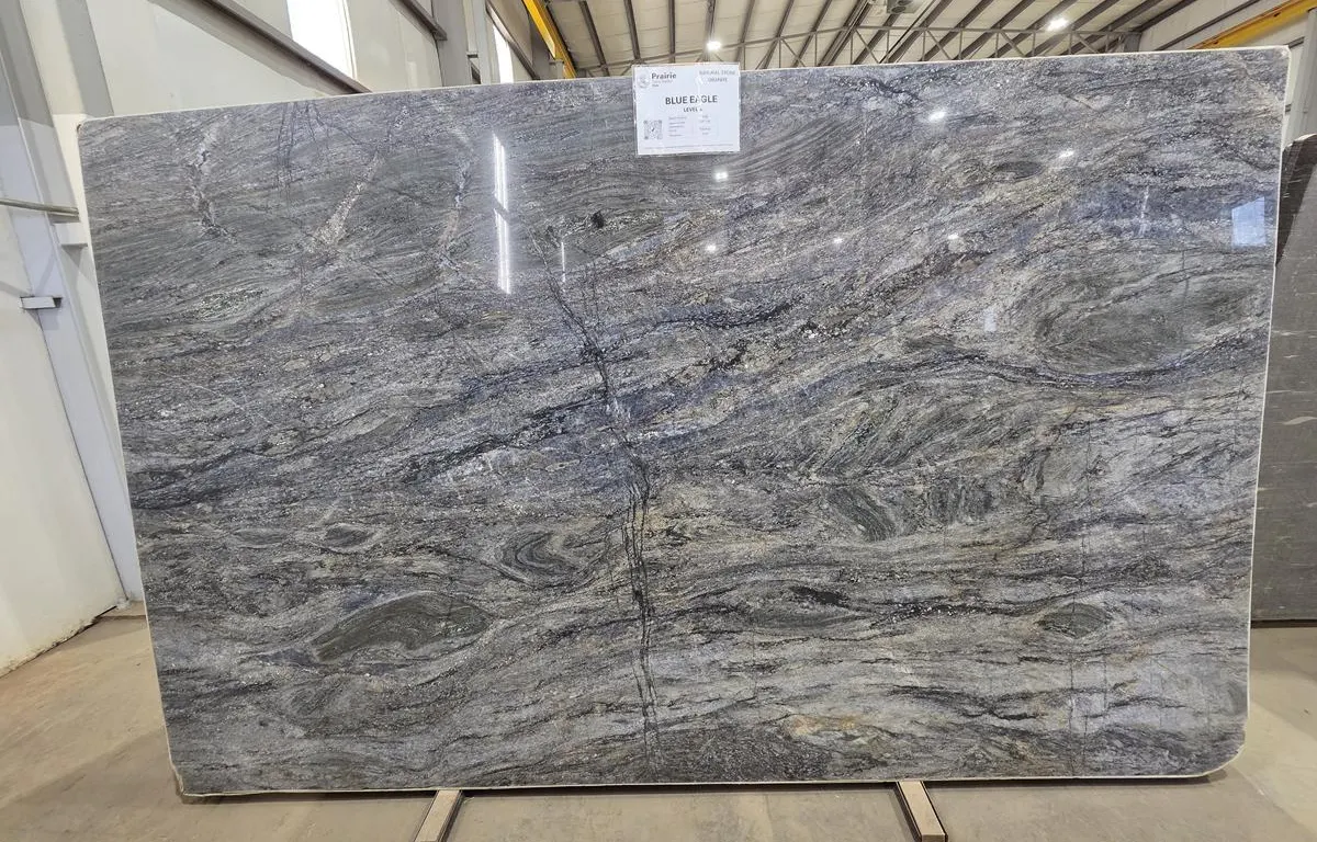 (1) Blue Eagle Polished Granite Slab
UNRESERVED