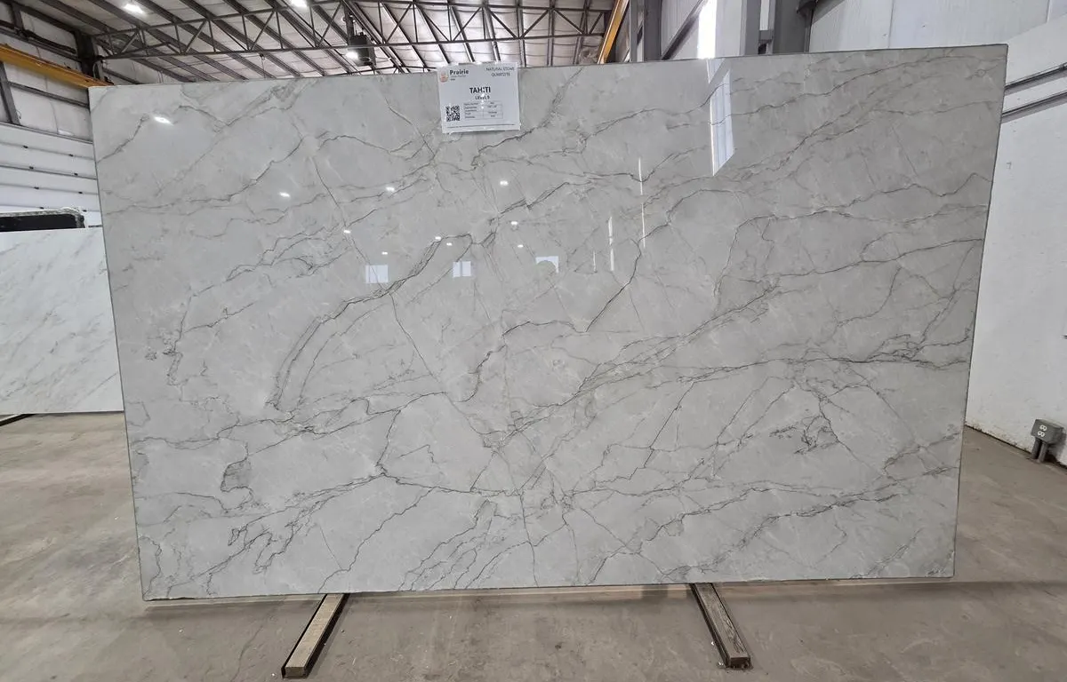 (1) Tahiti Natural Stone Quartzite Slab
UNRESERVED