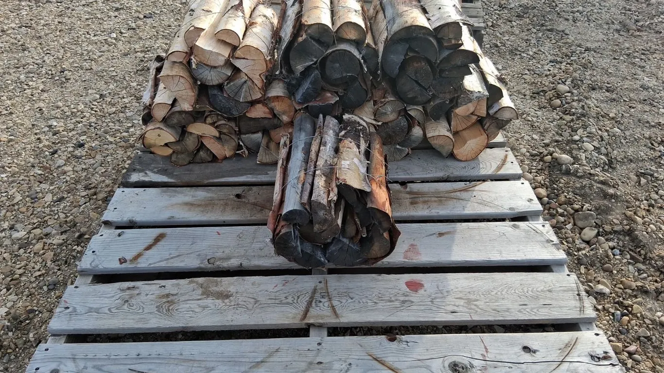 8- Bundles Dry Birch Firewood