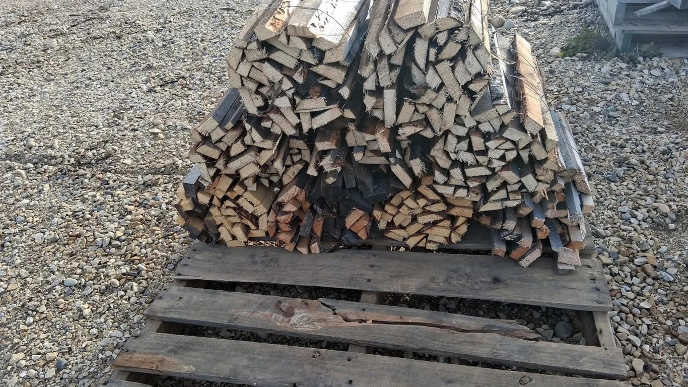 9- Bundles Dry Spruce Kindling