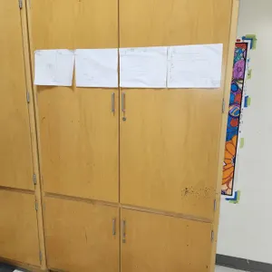 Large Hardwood Storage Cabinet