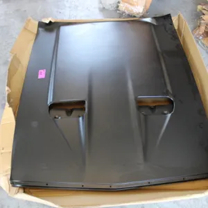 Mustang NACA Hood