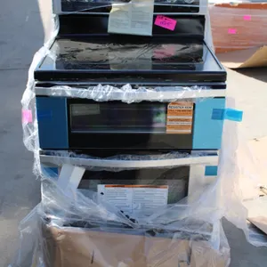 Gas Induction Oven