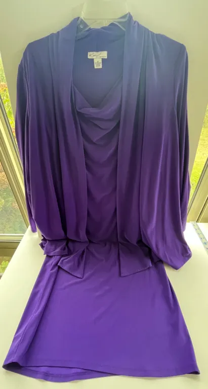 Kim Rogers Purple Dress