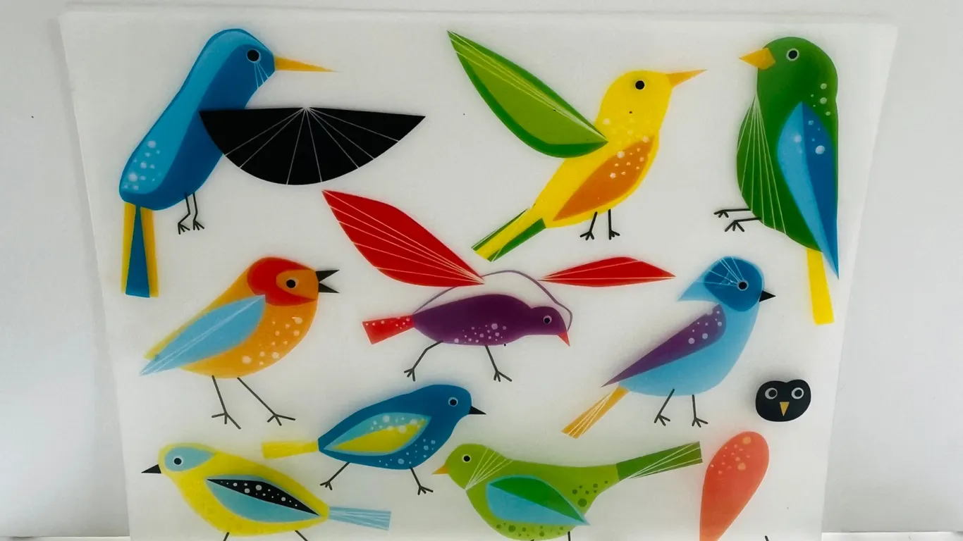 8 Plastic placemats with Colorful Bird Design