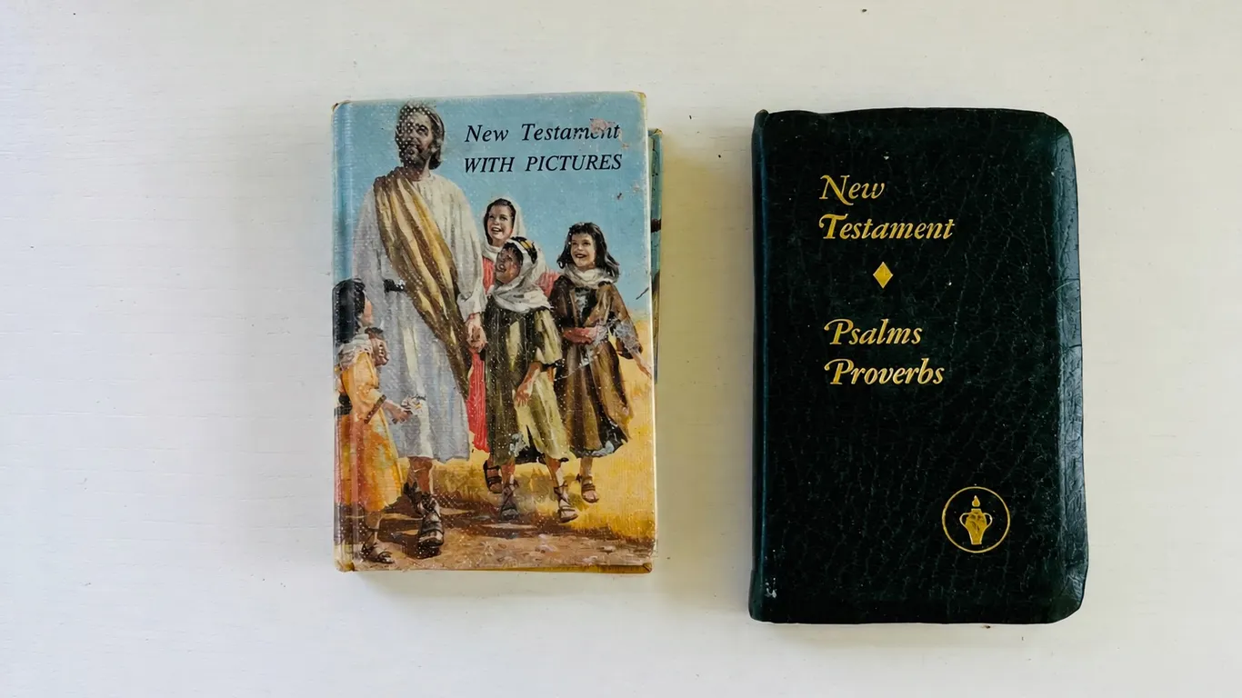 Two New Testament Bibles