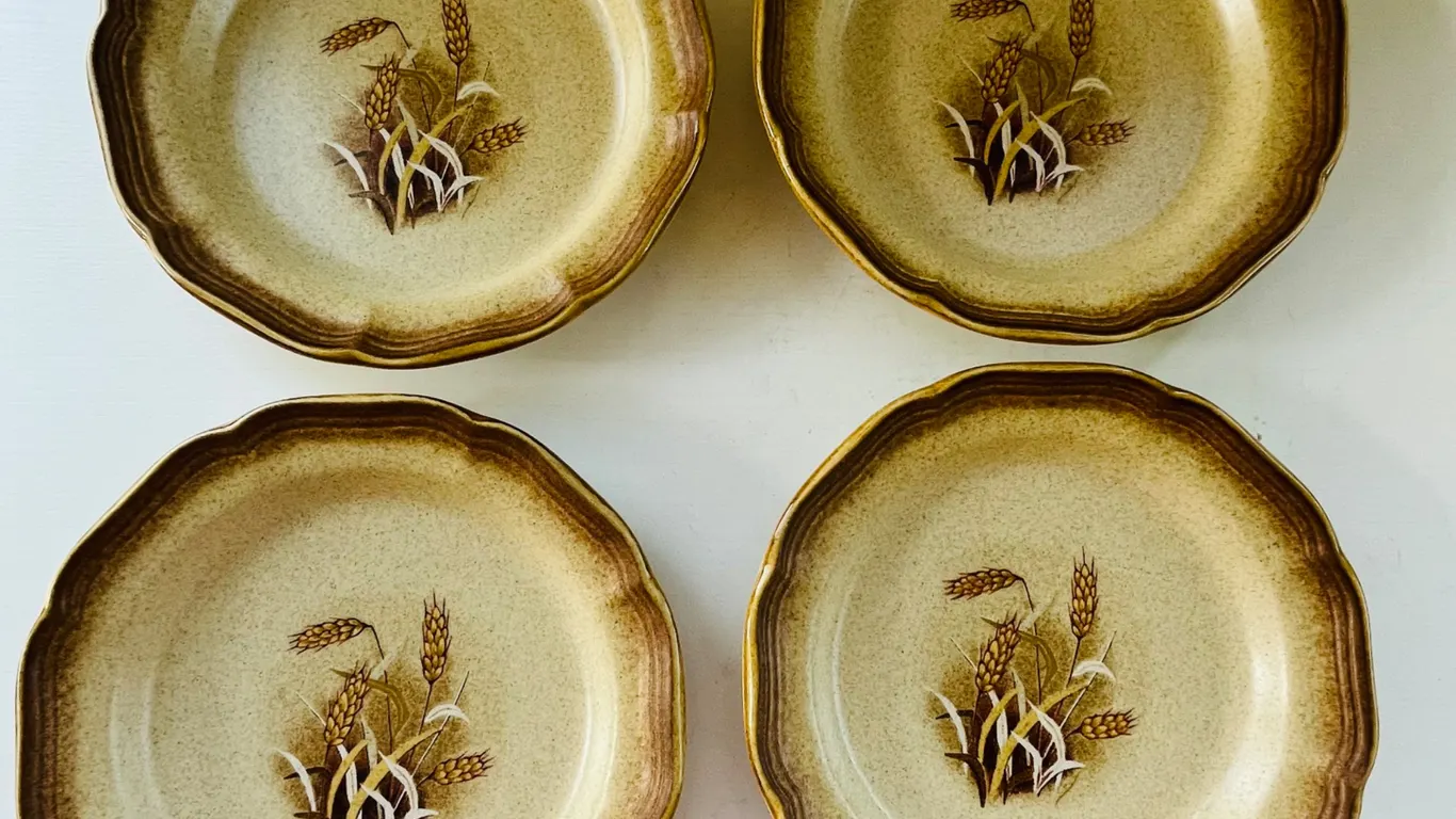 Mikasa Whole Wheat Granola Scalloped Salad Plates (Set of 4)