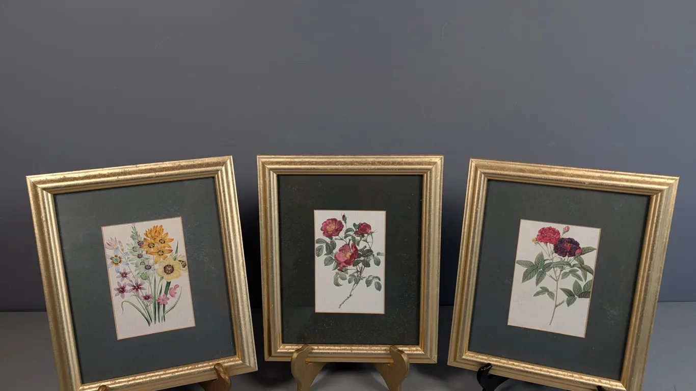 Set of Three Framed Botanical Prints