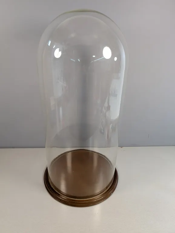 Glass Dome Cloche with Wooden Base, Extra Large