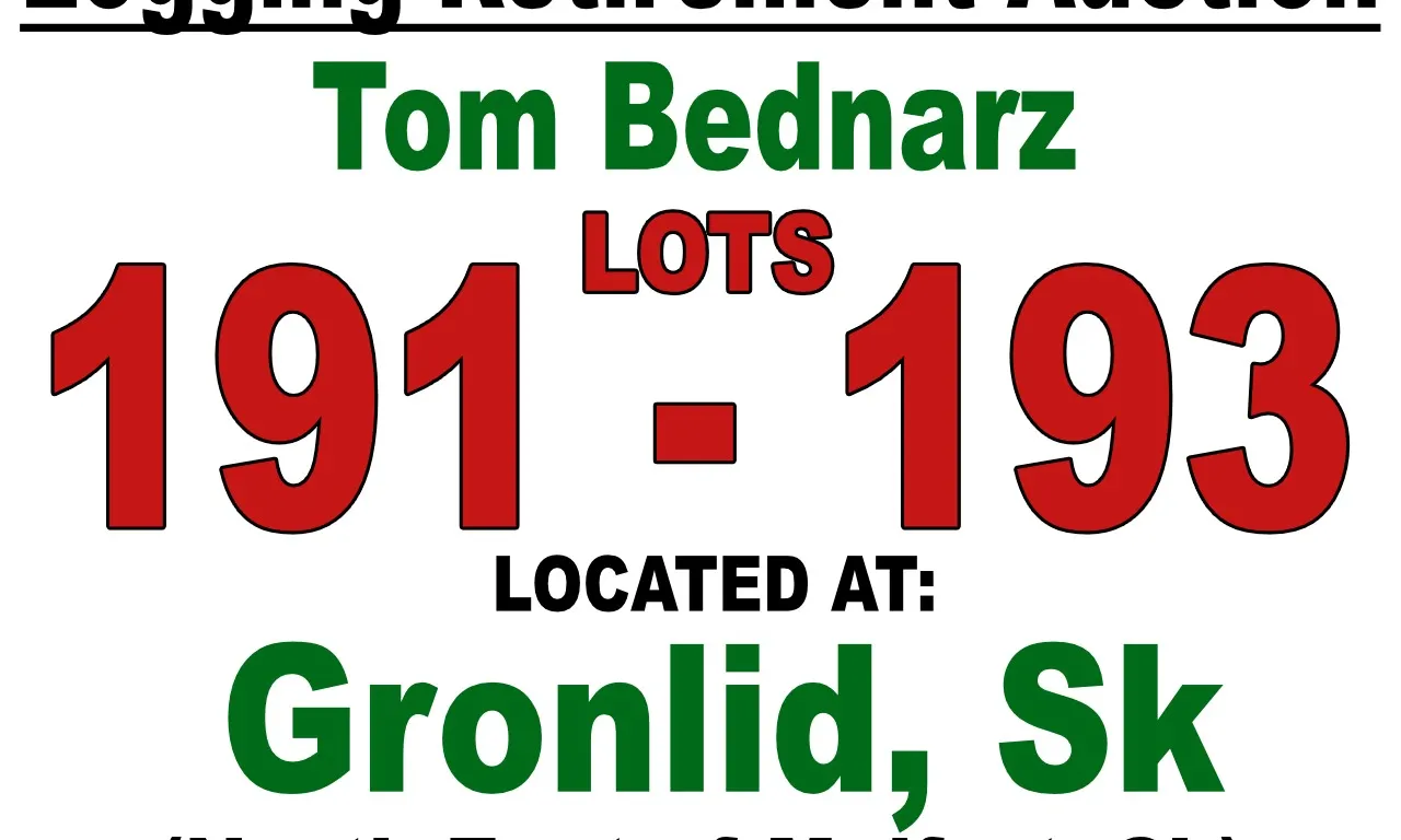 Logging Retirement Auction / Tom Bednarz