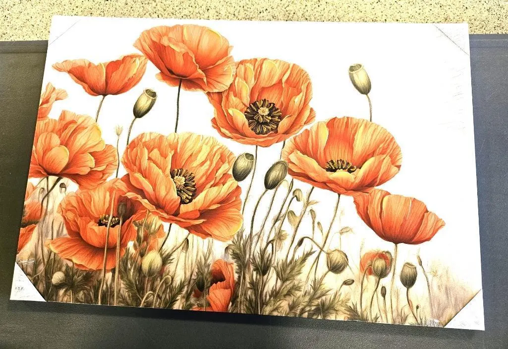 Orange Poppies Flora Canvas Wall Art