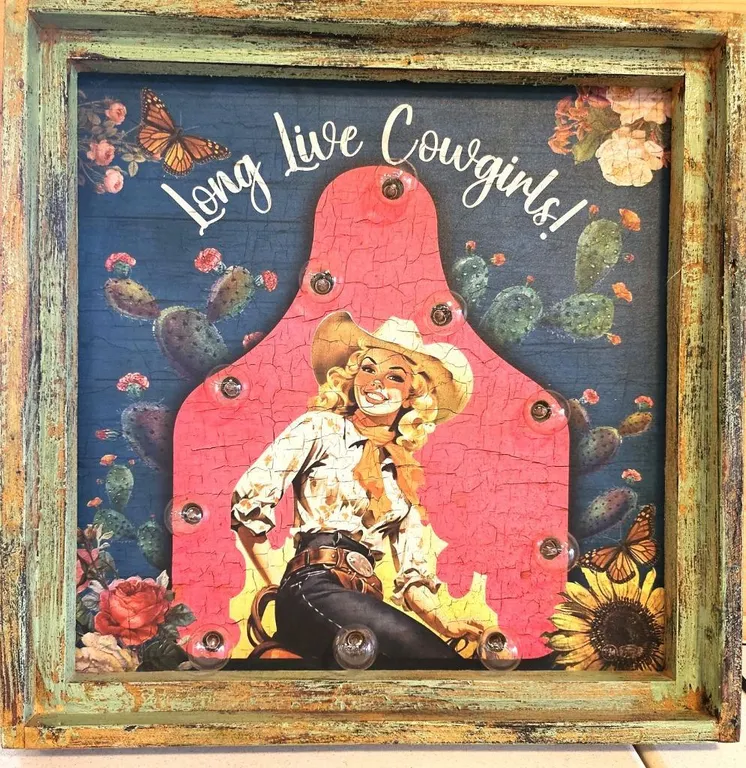 Cowgirl Plug-in Picture
