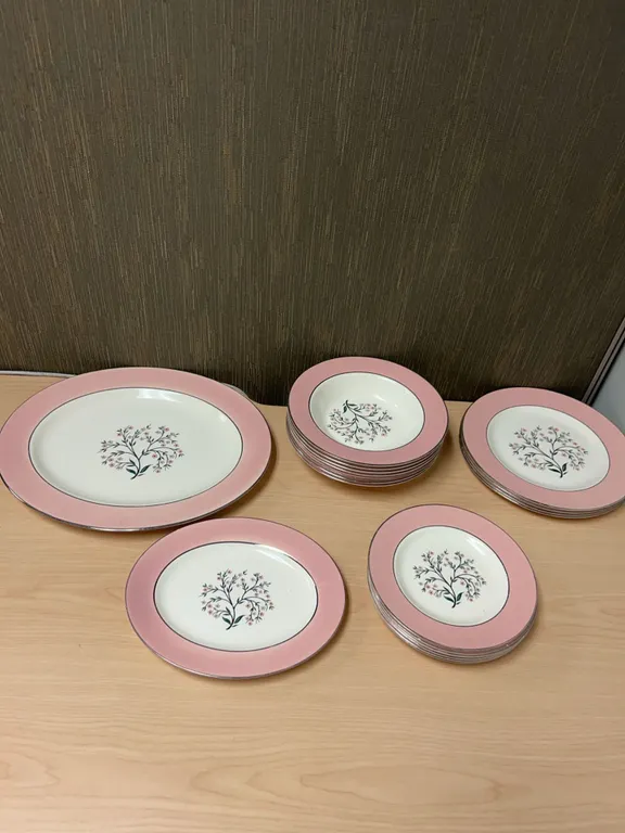 Homer Laughlin Cavalier Eggshell Pink Floral Dinnerware Set