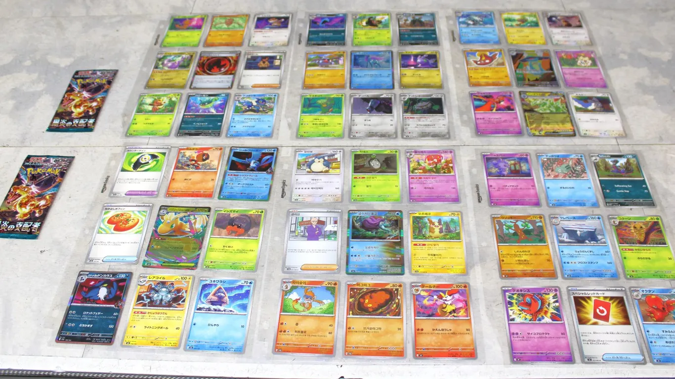 Japanese Pokémon Cards With 6 Binder Pages and 2 Packs