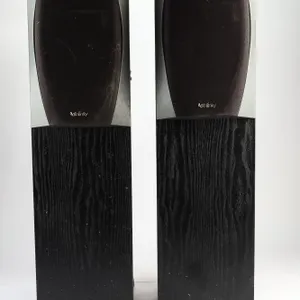Pair of Vintage Infinity Entra Two Floorstanding Speakers
