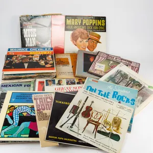 Vinyl Record Collection