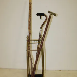 Walking Canes & Stand