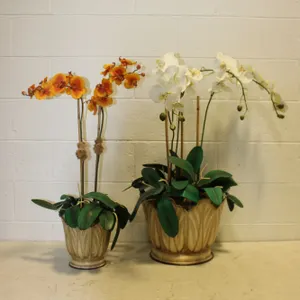 Faux Orchid Arrangements
