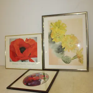 Framed Floral Prints