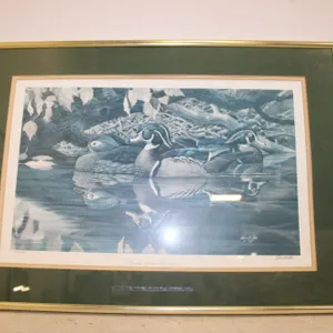 Harold Roe "Dark Water Woodies" Duck Print