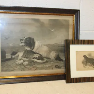 Dog Art Prints