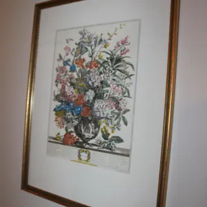 Botanical Wall Art