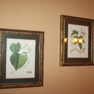 Botanical Wall Art
